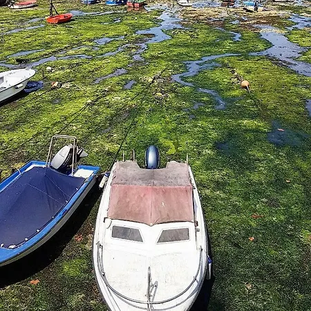 Vistas A La Ría De Arousa